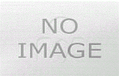 Bold Classics Collection